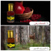 Musk Ruman (Pomegranate Musk) - Fragrance Oil